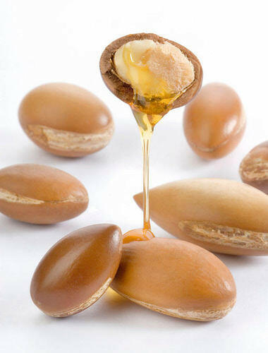 Argan Oil ( Morocco oil )