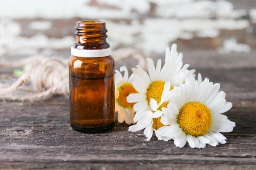 Chamomile Oil (Roman) - Essential Oils Company