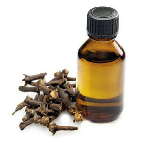 Clove Bud Co2 Extract Oil - Essential Oils Company