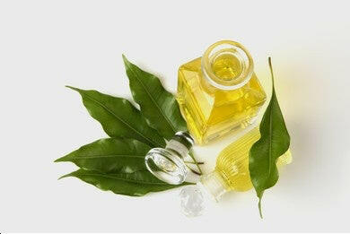 Clove Leaf Oil - Essential Oils Company