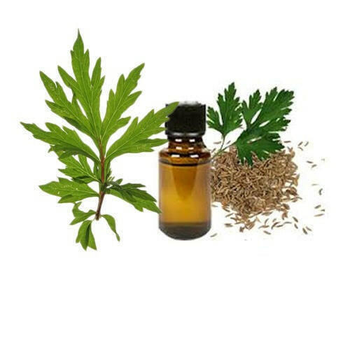 Davana Oil - Essential Oils Company