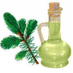 Fir Needle Oil - Essential Oils Company