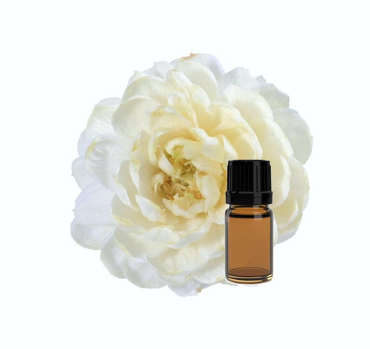 Gardenia Absolute - Essential Oils Company