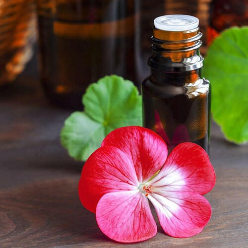 Geranium Oil Egyptian - Essential Oils Company