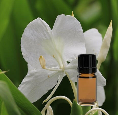 Ginger Lily Absolute - Essential Oils Company