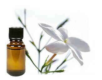 Jasmine Grandiflorum - Essential Oils Company