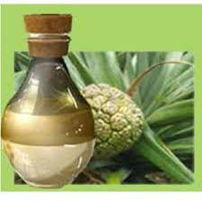 Kewra Oil (Kewda Oil) - Essential Oils Company