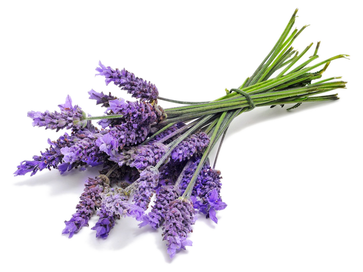 Lavender Oil Pure (Kashmir) - Essential Oils Company