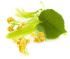 Linden Blossom Absolute - Essential Oils Company