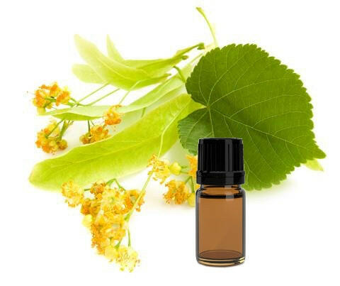 Linden Blossom Absolute - Essential Oils Company