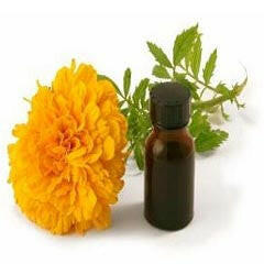 Marigold Oil - Essential Oils Company