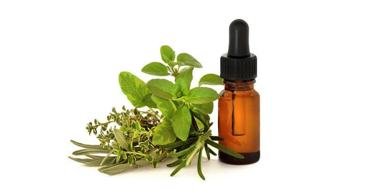 Marjoram Oil - Essential Oils Company