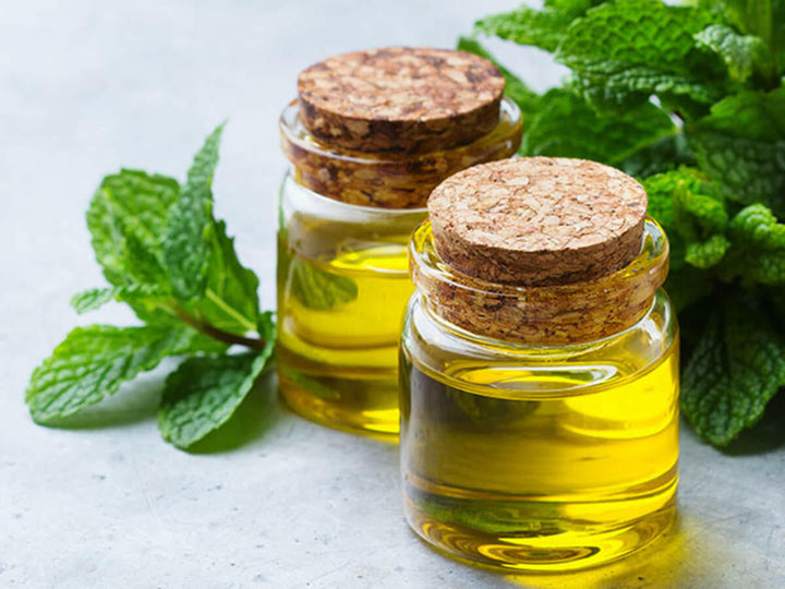 Menthol Oil - Essential Oils Company