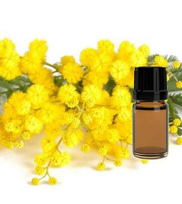 Mimosa Absolute - Essential Oils Company