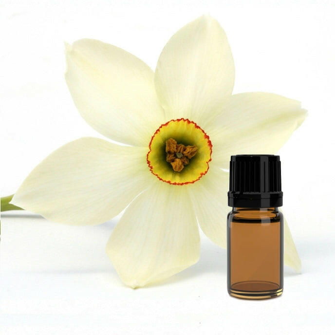 Narcissus Absolute - Essential Oils Company