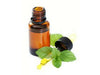 Oregano Oil - Essential Oils Company