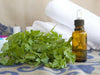 Parsley Seed Oil - Essential Oils Company