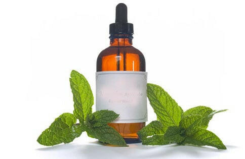 Patchouli Oil Pure - Essential Oils Company