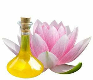 Pink Lotus Absolute - Essential Oils Company