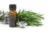 Rosemary Oil - Essential Oils Company