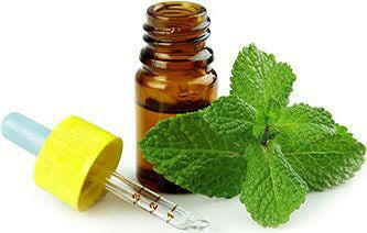 Spearmint Oil - Essential Oils Company