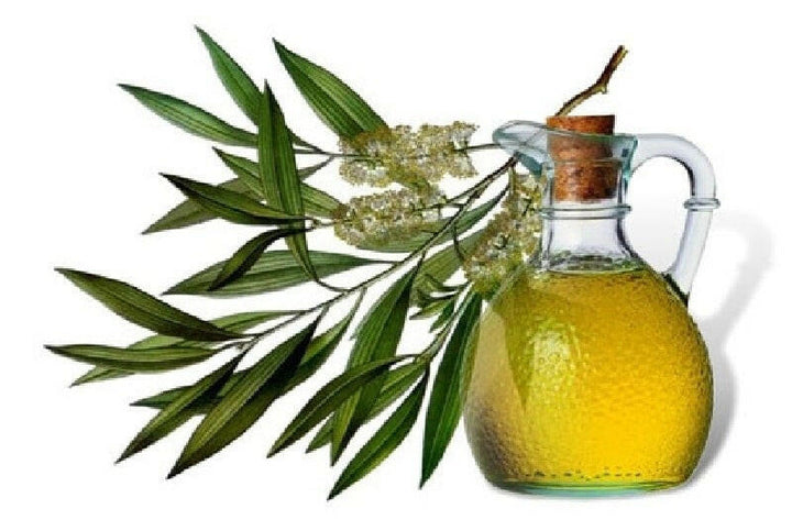 Tea Tree Oil - Essential Oils Company