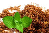 Tobacco (Zarda) Absolute - Essential Oils Company