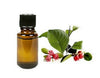 Wintergreen Oil - Essential Oils Company