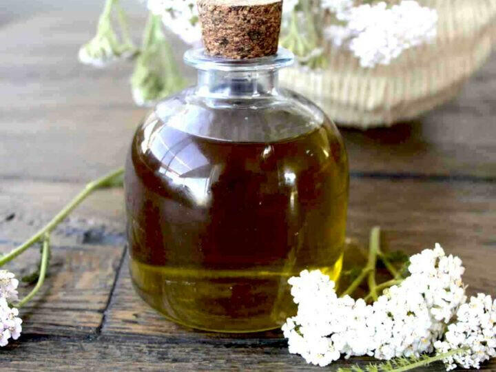 Yarrow Oil - Essential Oils Company