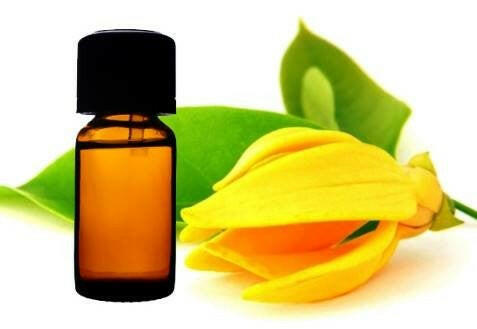 Ylang Ylang Oil - Essential Oils Company