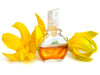 Ylang Ylang Oil Extra - Essential Oils Company